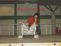 29_Master Hassan Hoseinmardi